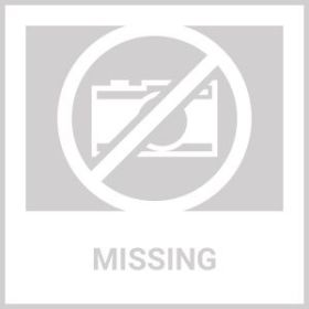 Moonlight Sails Dog Dress with Matching Leash (size: small)