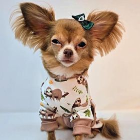 Soft Dog Pajamas (Color: Sloths, size: medium)